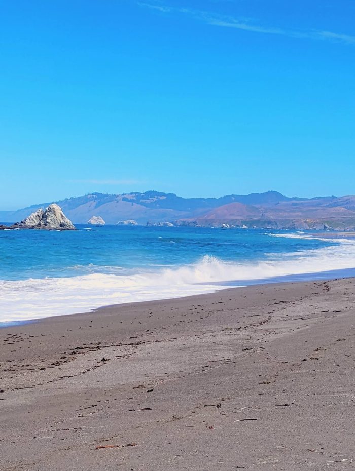 Bodega Bay California