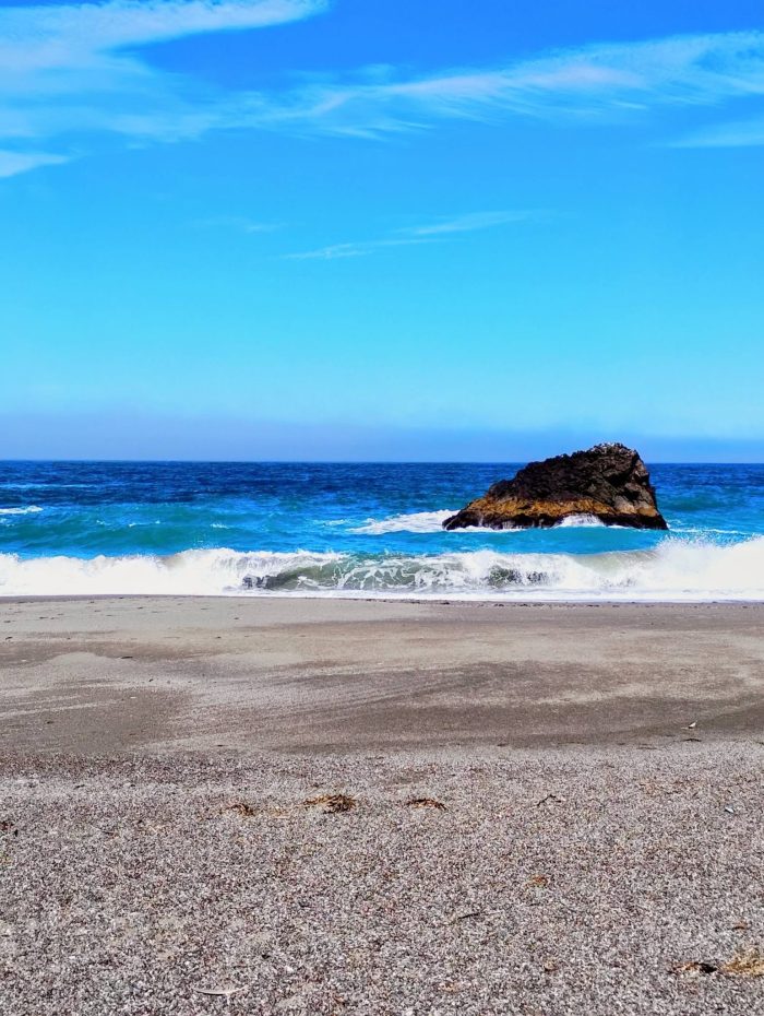 Bodega Bay California