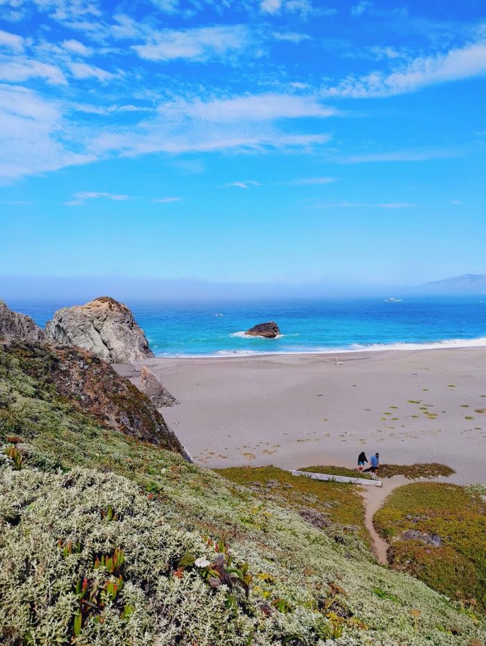 Bodega Bay California