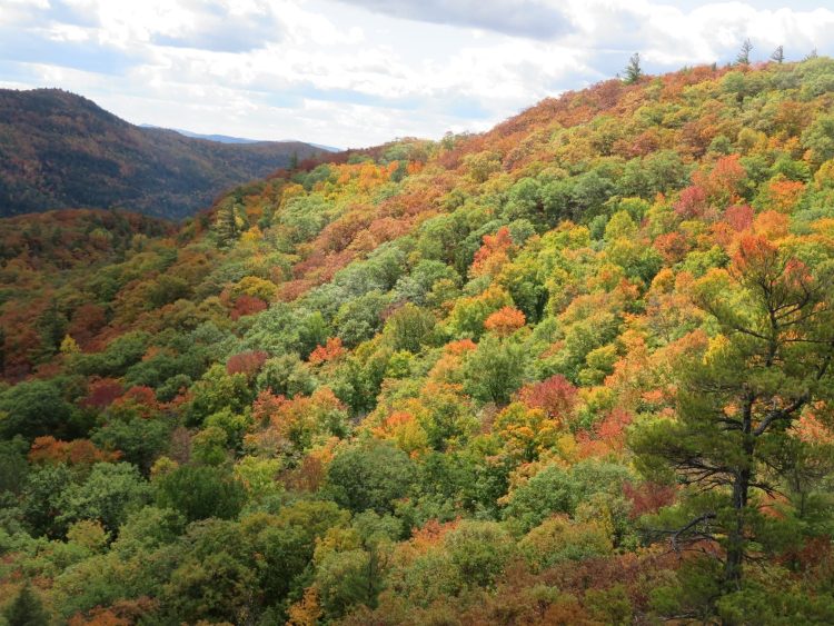 New Russia Upstate New York