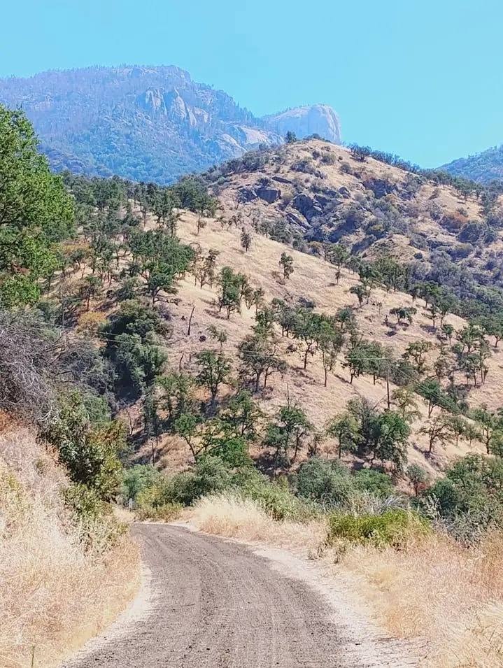 Three Rivers California