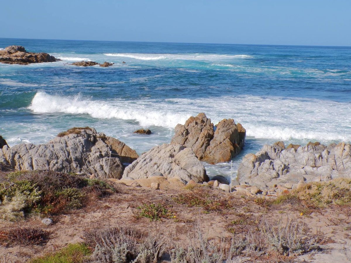 Pacific Grove California