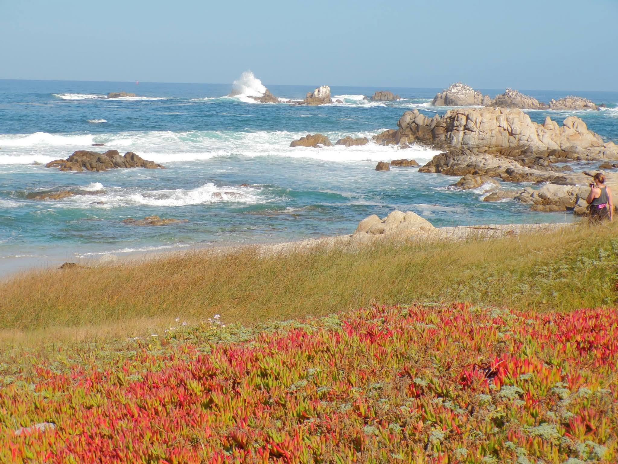 Pacific Grove Monterey Bay California