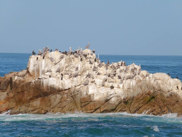 Pacific Grove California